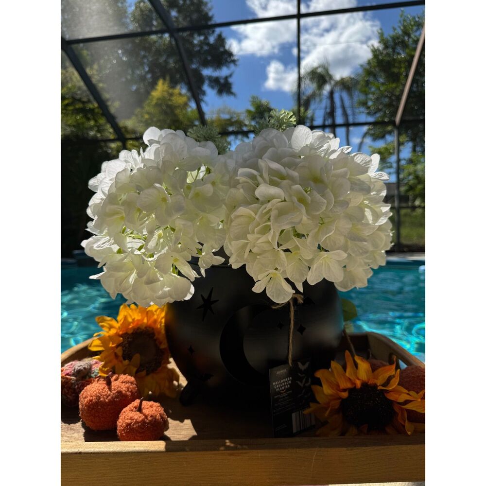 NEW Halloween Cauldron Planter Black Decorative Pot Halloween Decor Indoor